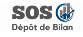 logo Sos Depot Bilan